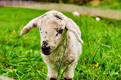 ohne Titel