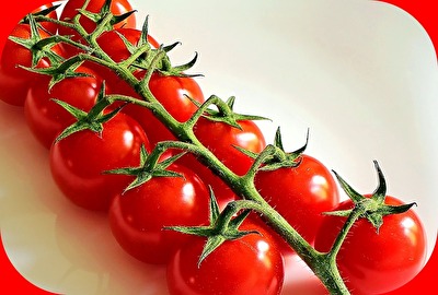 Tomaten  -  prall und knackig!!!