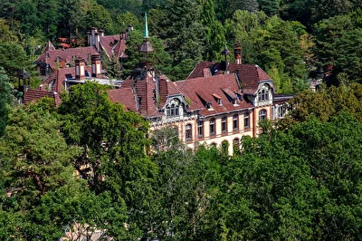 Beelitz Heilstätten ... Naturgewalt Wildnis
