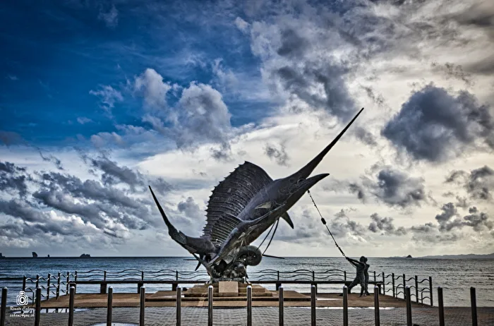 Fisch am Meer