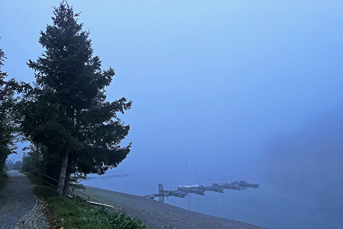 Melancholie  /  Nebel am Morgen