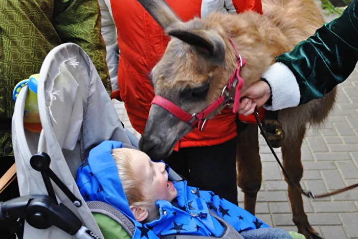 animal encounter