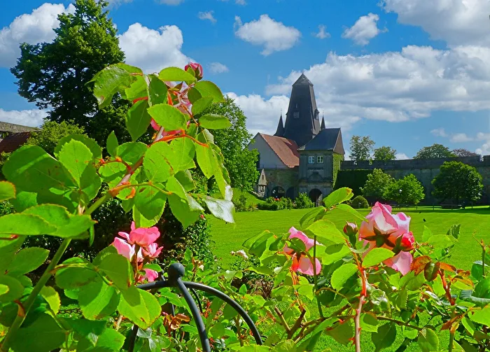 Blick vom Burghof