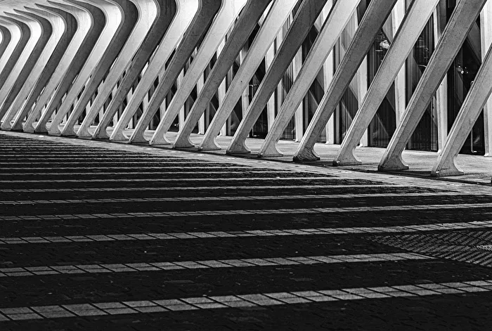 Liege Station Guillemins
