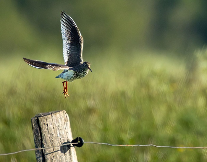 Abflug III
