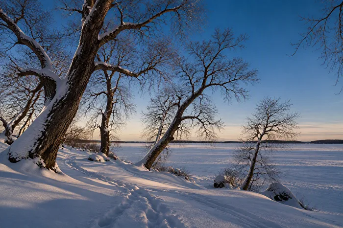 Matin d'hiver