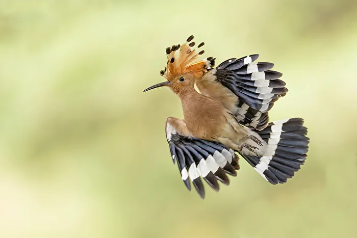 Abflug