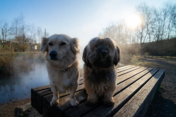 Kyra & Betzy