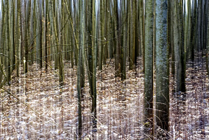 Experiment mit 1/2 sec. Belichtungszeit