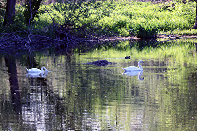 Entdeckung am Abend (2)