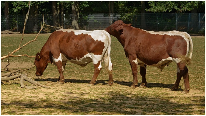 Dein Aftershave macht mich verrückt!