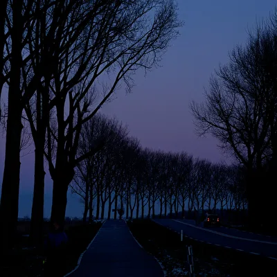 Blaue Stunde in Zaanse Schans