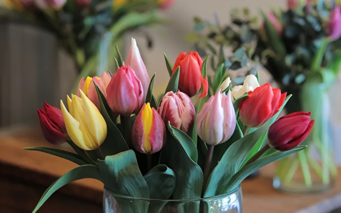 Tulips