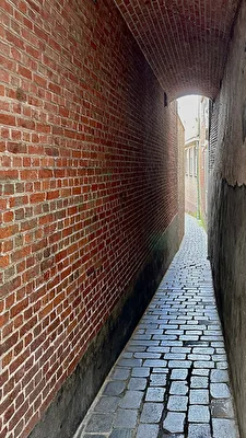 Wege ins Licht 2