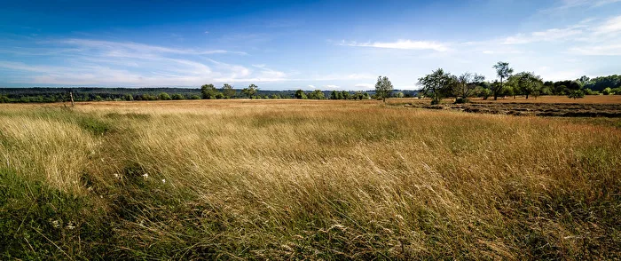 Sommerwind