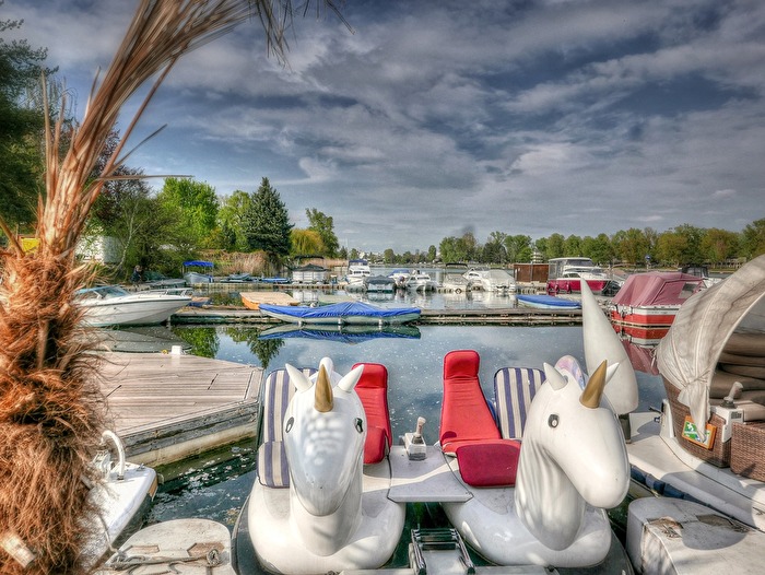 Schwimmeinhörner