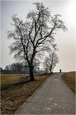 ohne Titel