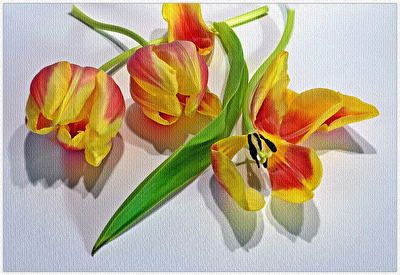 die Farben des Frühlings