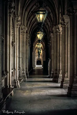 Rathaus Wien