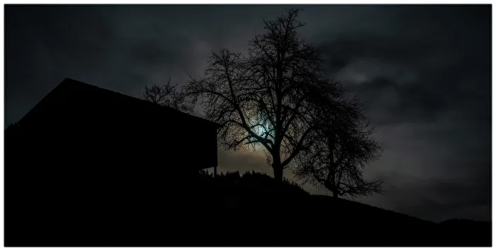 Wandbild Vollmond  "Halloween-Stimmung"