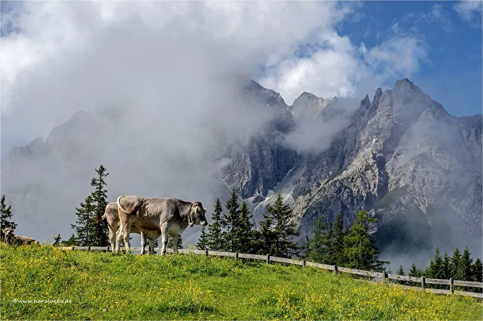 im Stubaital ...