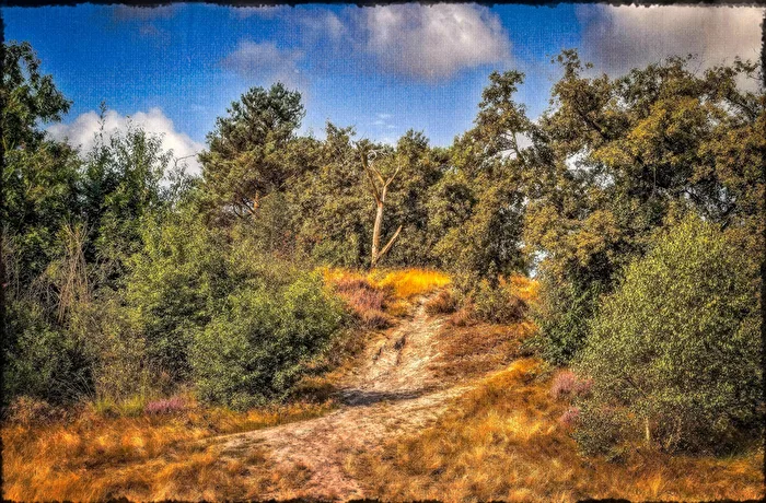 National Park De Maasduinen 8