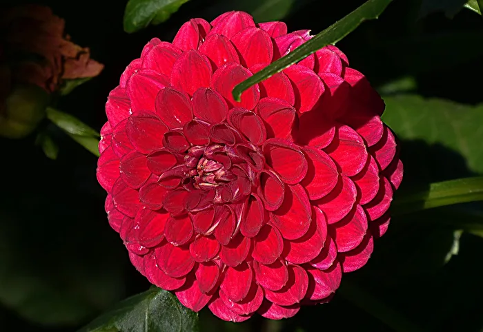 Masterpiece of nature