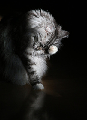 Putzen geht immer :-)