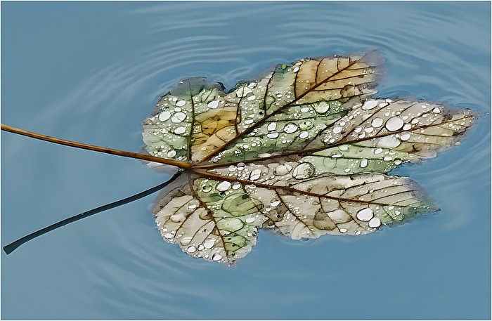 Herbstliche Stille
