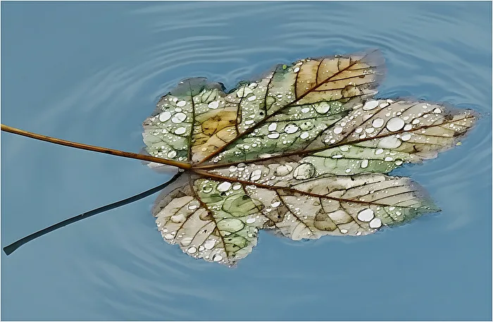 Herbstliche Stille