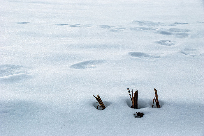 Winter...