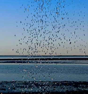 Frische Brise