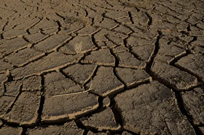 extra dry