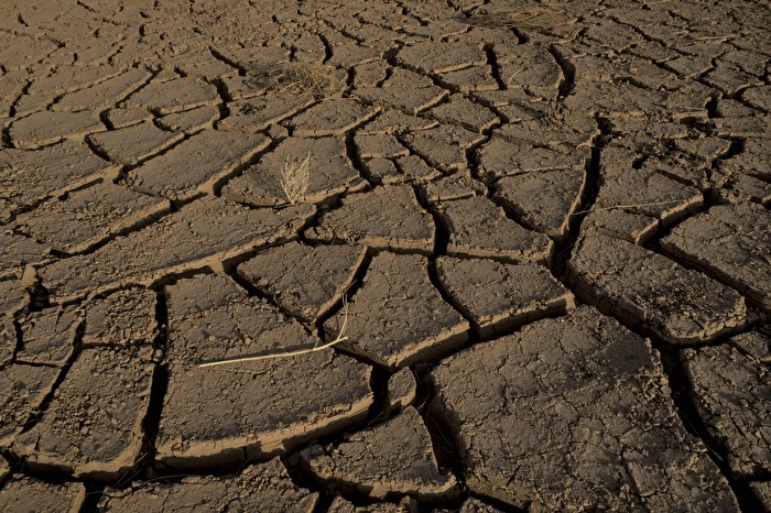 extra dry