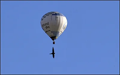 Flugbegleitung