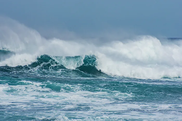 The Wave
