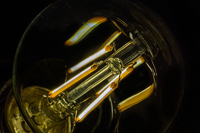 Detail einer LED Filament - Lampe