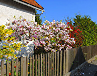 bunte Mischung