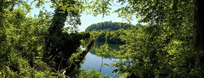 Am Rhein
