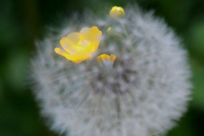 ohne Titel