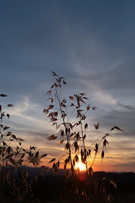 ohne Titel