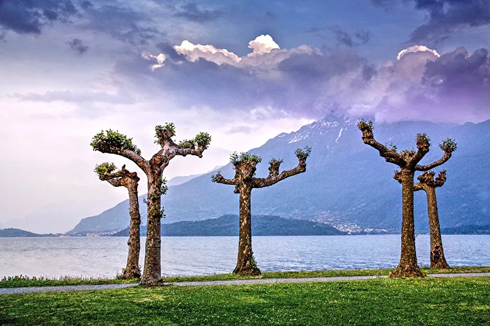 Five figures at Lake Lucerne