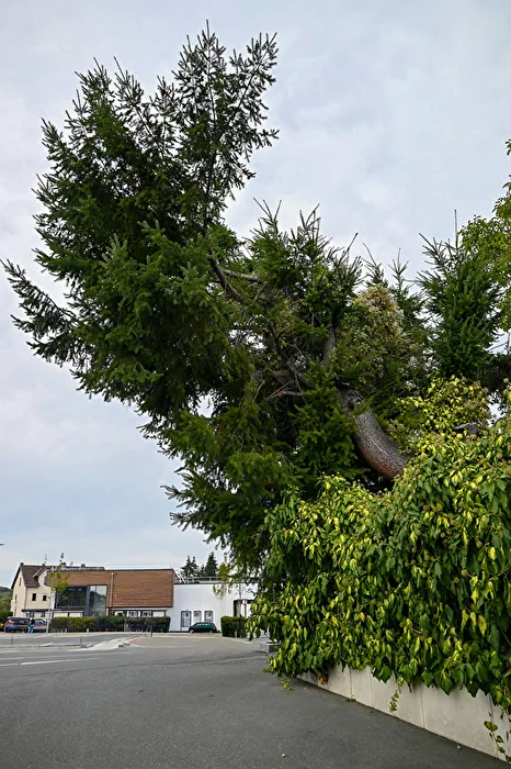 Schräglage