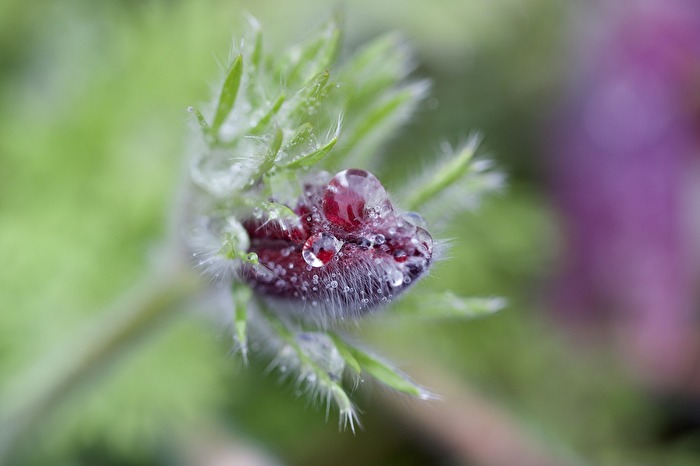 Der Regen verwandelt