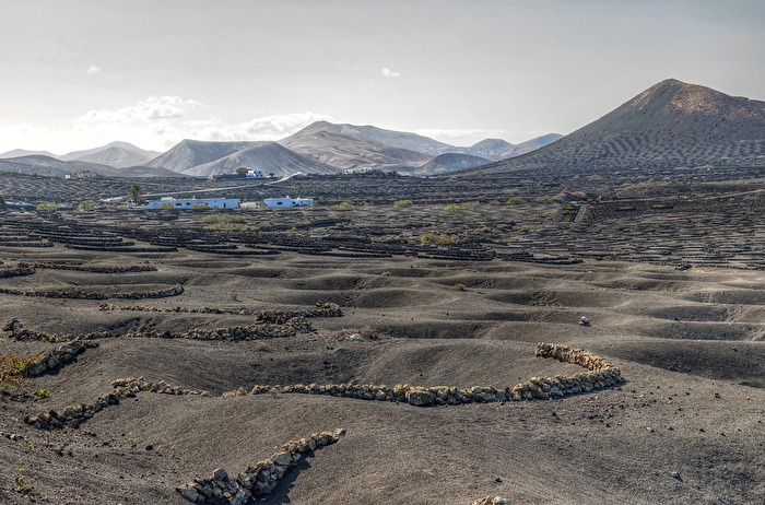 La Geria / Lanzarote