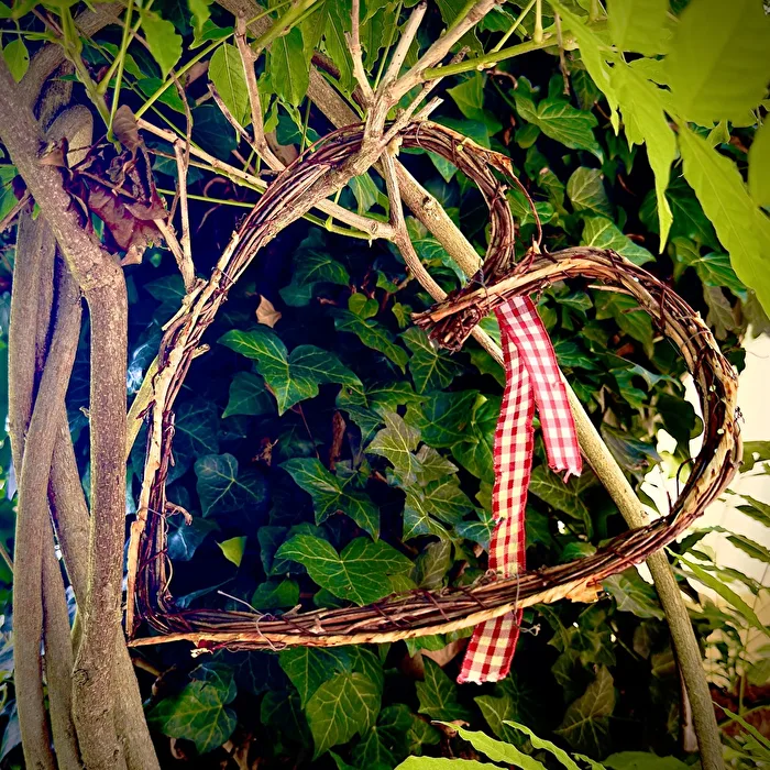 Love for Nature