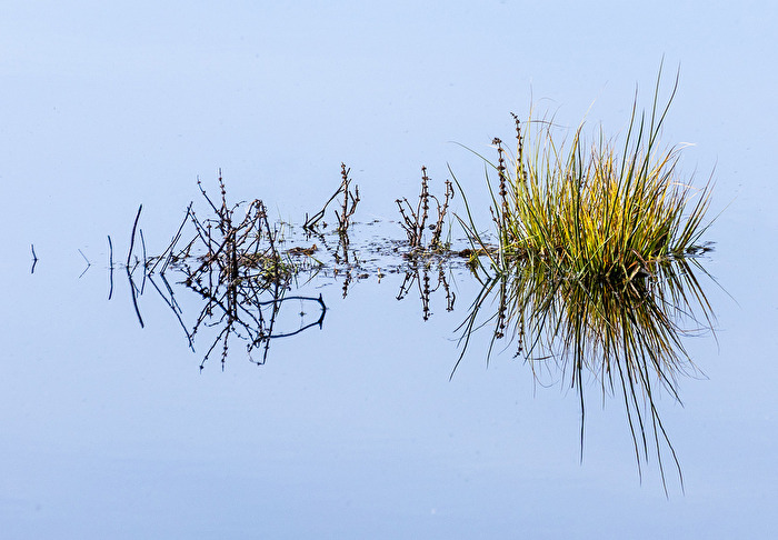 Minimalismus in der Natur