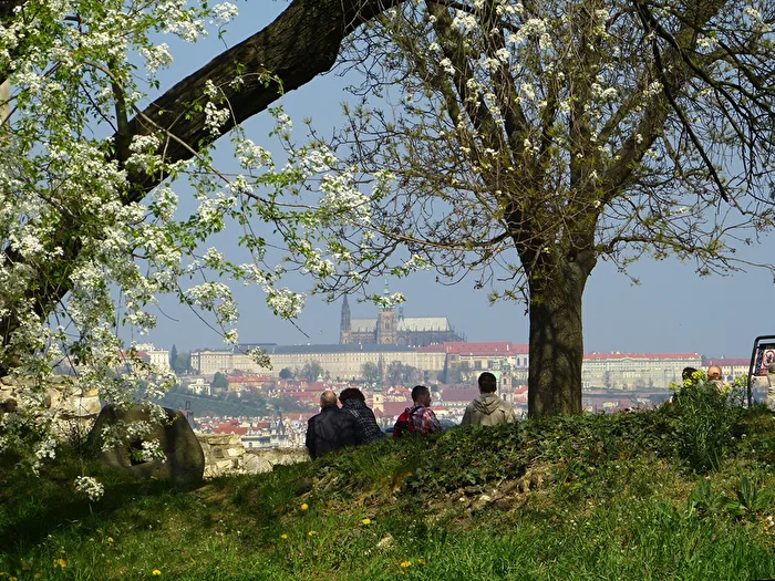 Frühling in Prag