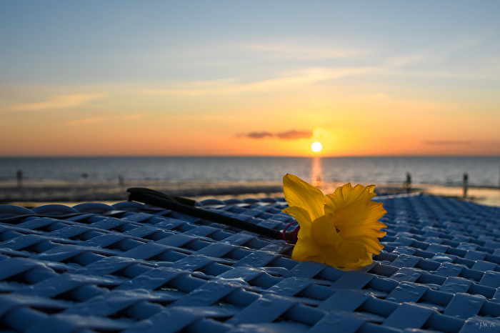 Ob der Frühling bald kommt?