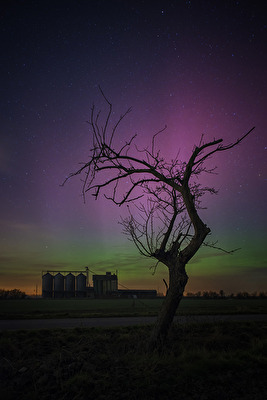 Aurora über Niedersachsen